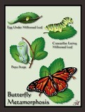 by Graphic Designs By Suz