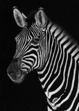by Sheryl Unwin