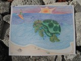 by christine mccully