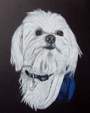 by Diane Kopczeski