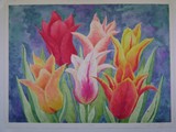 by JAN GREEN