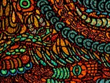 by samuel bohorquez