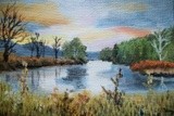 by cindy kelly