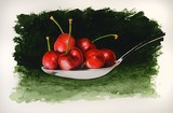 by John Salozzo