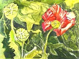 by Ginny Fisher