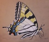 by Elizabeth Mattison