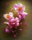 by Elizabeth Mix