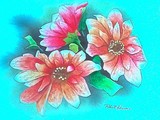 by robert havens