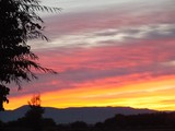 by Jim & Darlene Stewart