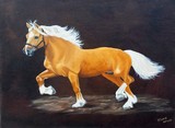 by Diane Howe