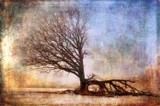 by Randi Grace Nilsberg