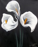 by tami  booher