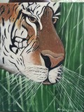 by Nicole Lee