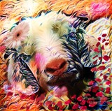 by Ariella Star
