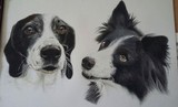 by Debi Ware