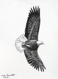 by Mike Bennett