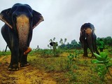 by Sarthak  Jain