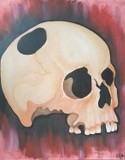 by Bethan Hammond