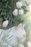by Wendy Wilson