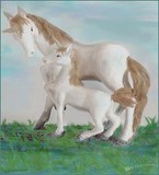 by Mary Ellen Parker