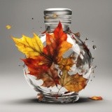 by Mihaela B