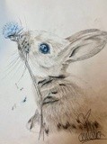 by Ariella Belau