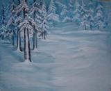 by Merideth Van Every