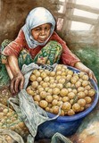 by ghafar bahari