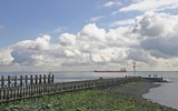 by Jan de Jong