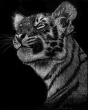 by Kenan Canales