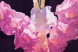 by Julene Baker, PSA