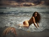 by Susan Carranza