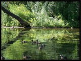 by DEE JOBES PHOTOGRAPHY