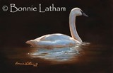 by Bonnie Latham