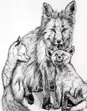 by Terri Walker