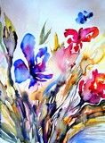 by Nelly van Nieuwenhuijzen