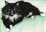 by Christine Hilditch
