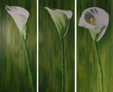 by ria van meijeren