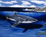 by Tanya Ray