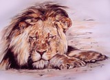 by Robert Keller