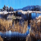 by Jennifer goodwin