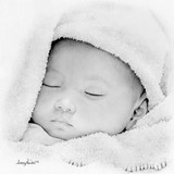 by Tracey  Riedel