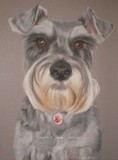 by Joanne Simpson-Connor