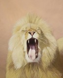 by Leigh Rust
