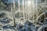 by VELYKIO - gintautas velykis -