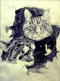 by Frank  Mayes
