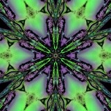 by Barry Huyett