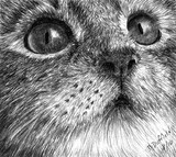 by Deborah L. Duffield
