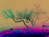 by Phil Hamilton