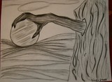 by Bindu 
